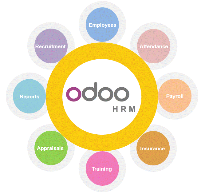 Các module quản lý nhân sự trong Odoo