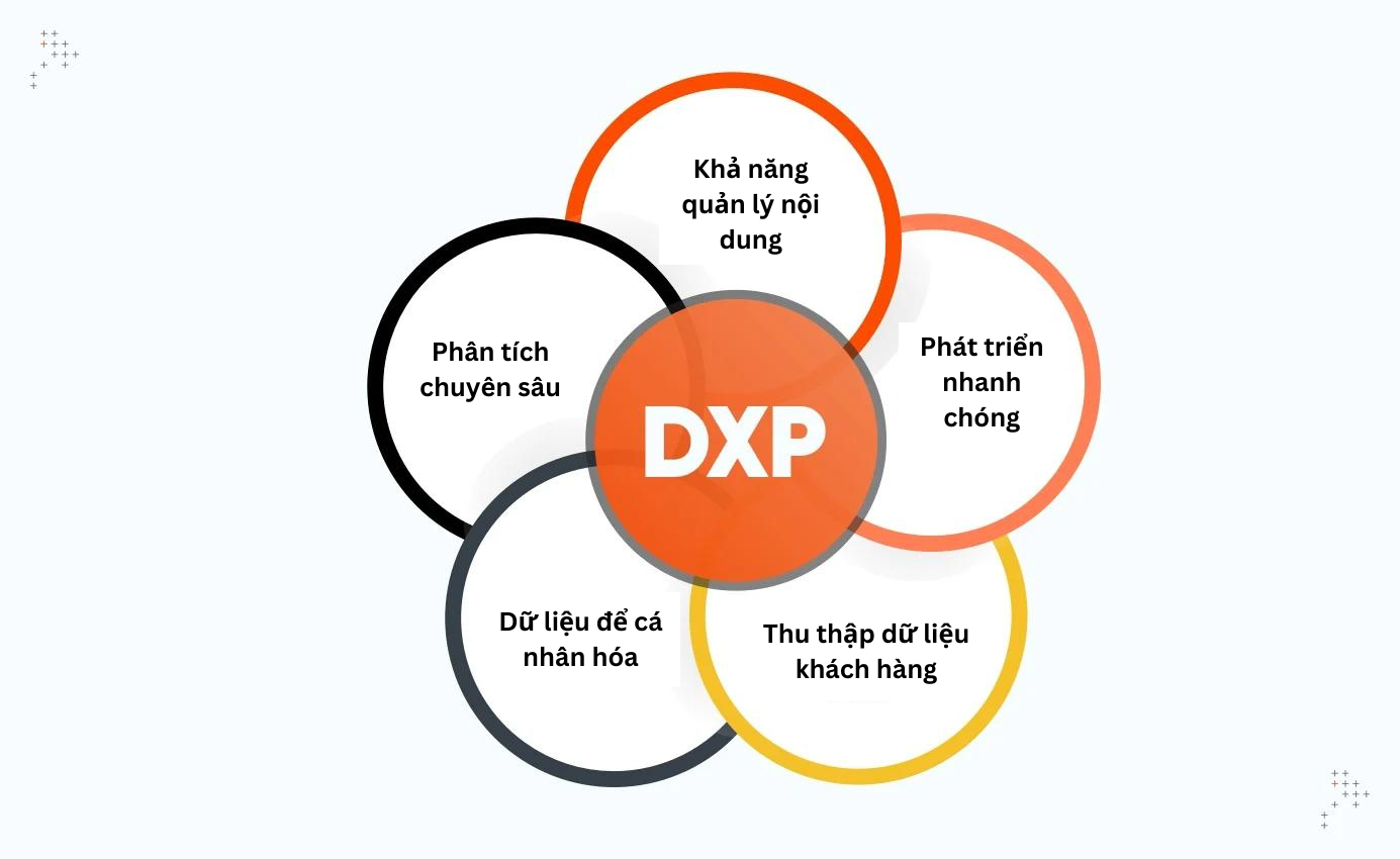 DXP là gì
